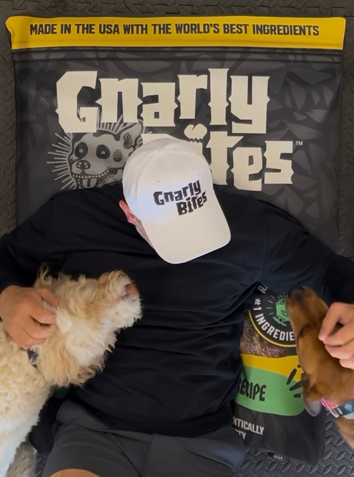 Six Reasons to Start Your Own Pet Treat Company