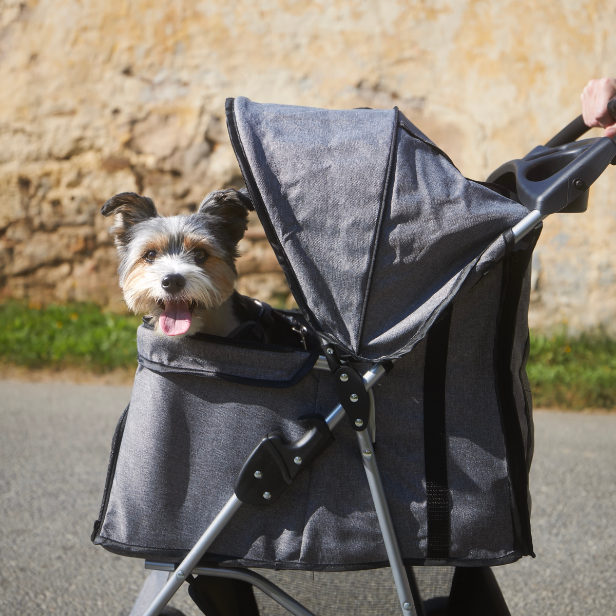 8 Reasons You Should Get a Dog Instead of Having a Kid