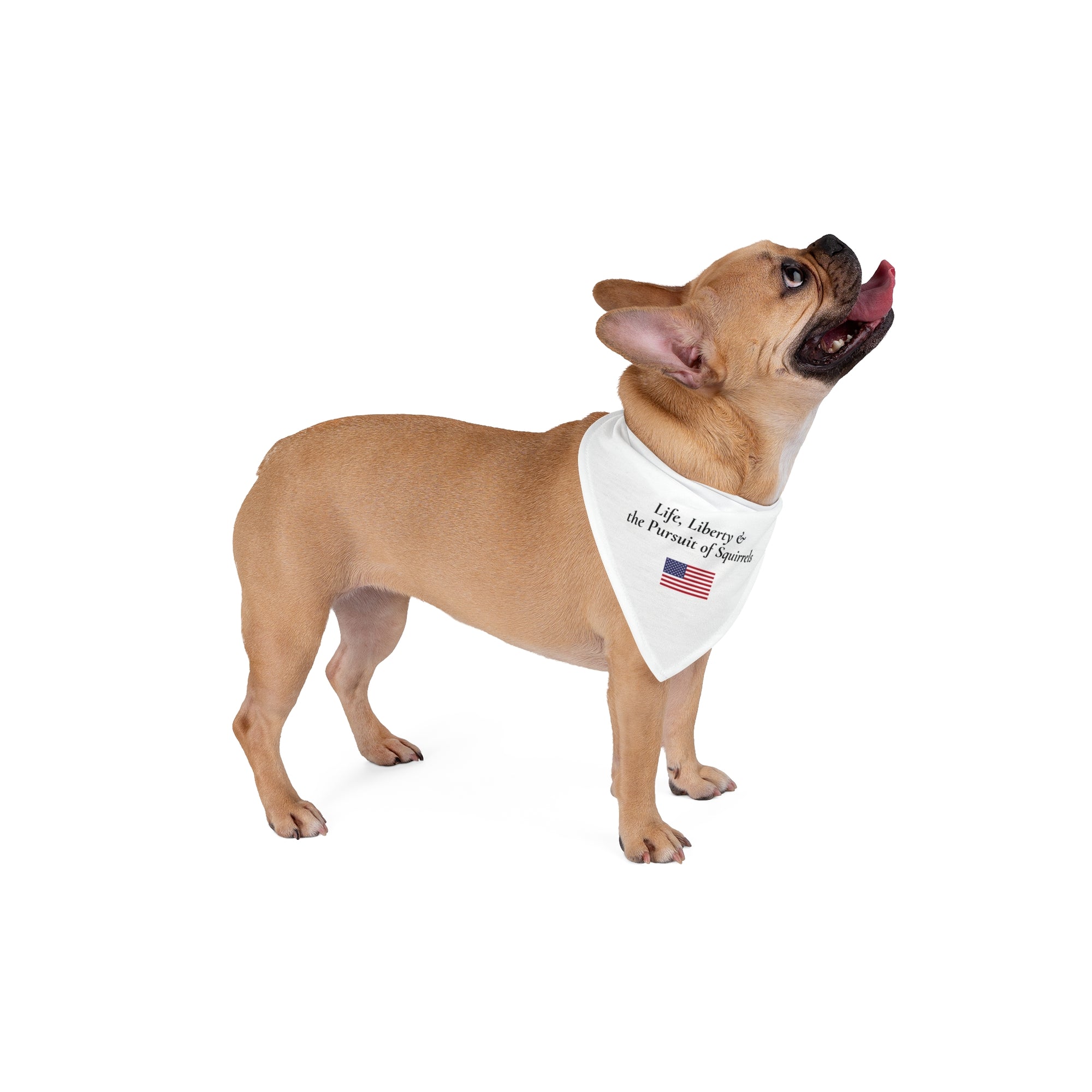 Freedom Pet Bandana