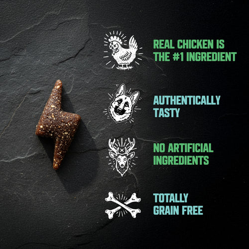 Amp'd Up Training Treats