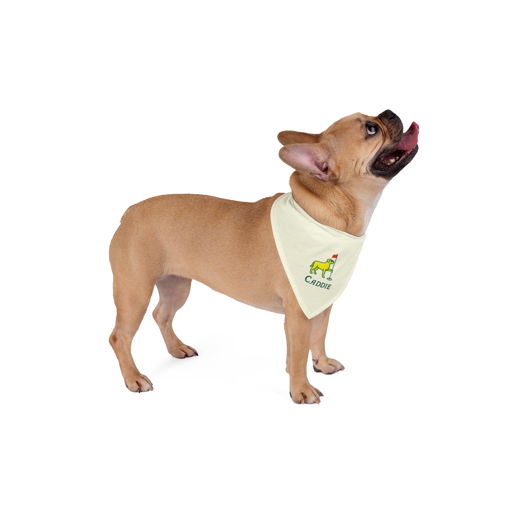 Golf Dog Caddie Bandana