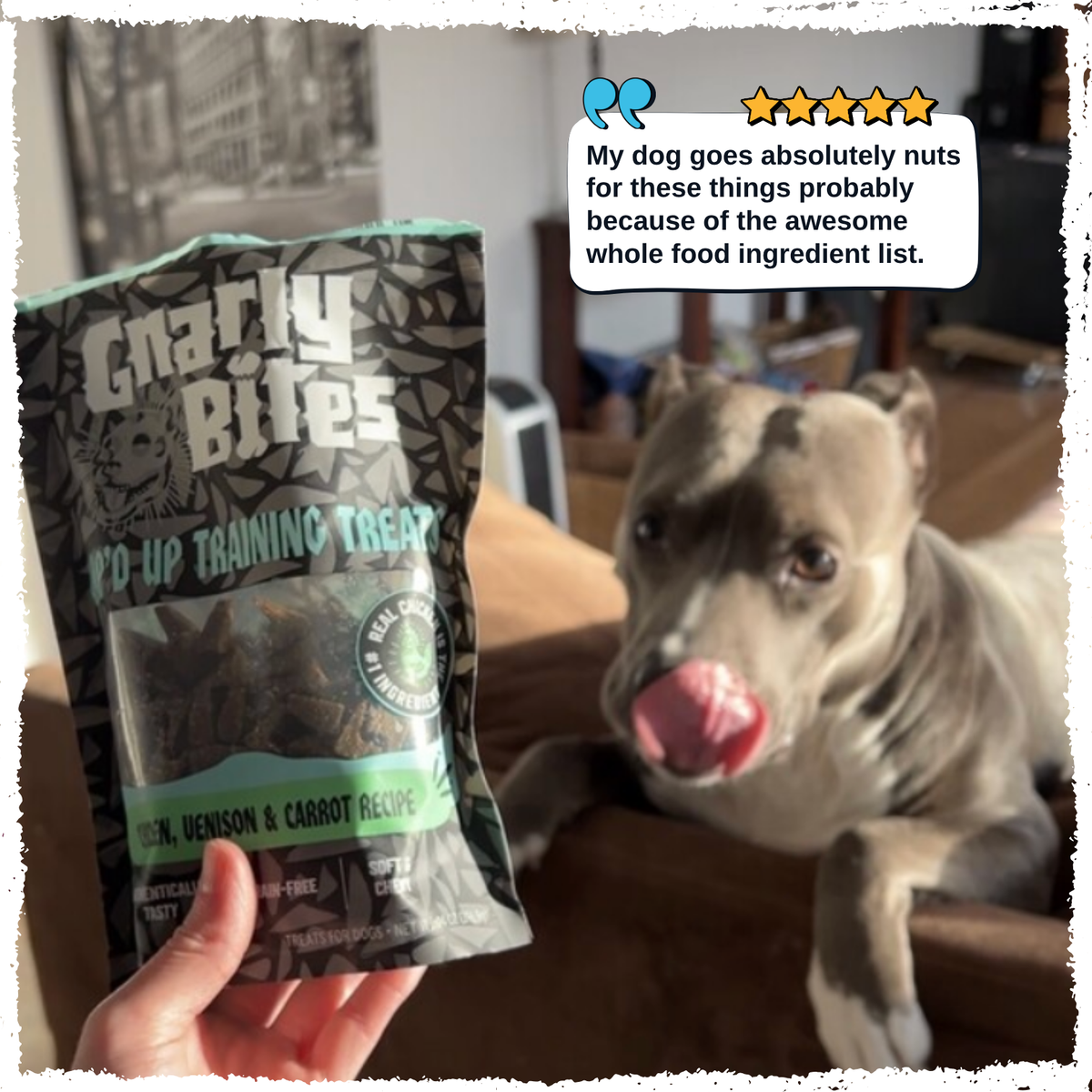 A hand holds a bag of Charly Bites 'Pop-Up Training Treat' in the flavor '100% Bison & Carrot Recipe' in the foreground, while a gray pitbull-type dog licks its lips in the background. A white text bubble with a five-star graphic is in the top right corner.