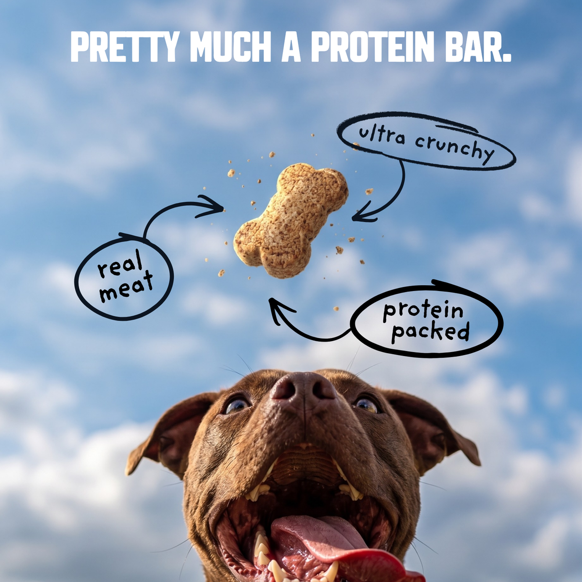 A dog looks up at a bone-shaped protein treat floating in the sky with text callouts reading 'real meat,' 'ultra crunchy,' and 'protein packed,' plus the headline 'PRETTY MUCH A PROTEIN BAR.'.