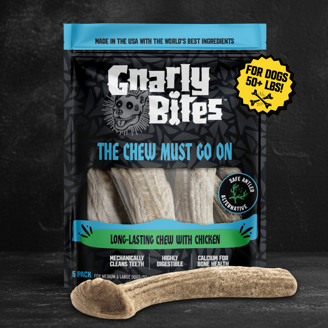 Gnarly Bites dog chew product packaging with a dark background