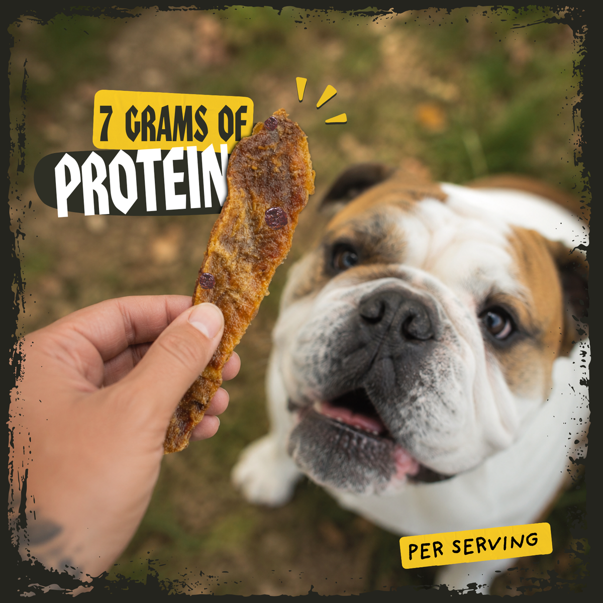 A hand holds a protein dog treat in front of a close-up of an English Bulldog outdoors. Text overlays read '7 GRAMS OF PROTEIN' and 'PER SERVING'.