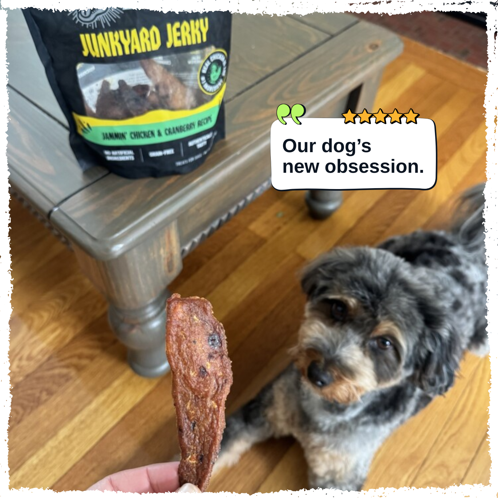 A small dog sits on a wooden floor looking at a hand holding a piece of jerky, with a bag of Junkyard Jerky on a table in the background and a text bubble that says 'Our dog's new obsession.'.